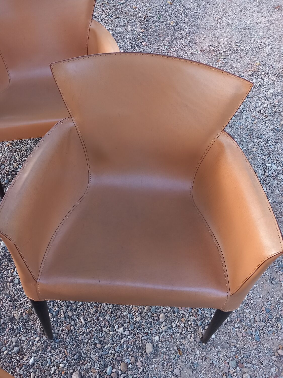 Set of 4 Vela chairs by Carlo Bartoli for Matteo Grassi