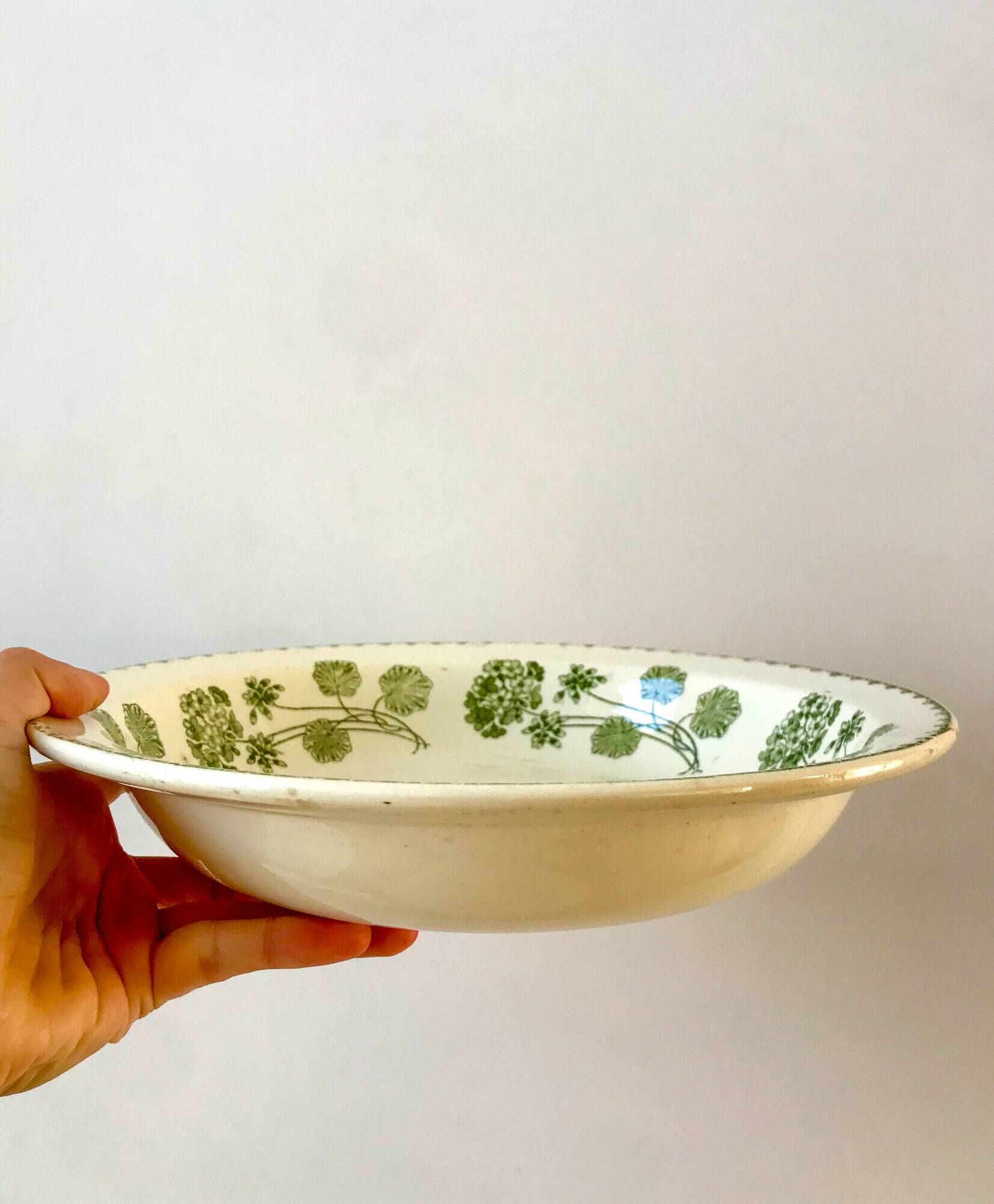 hollow dish in Digoin Sarreguemines Iron Earth model green "Geranium" late 19th century