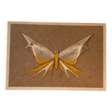 70´ stretched wire table