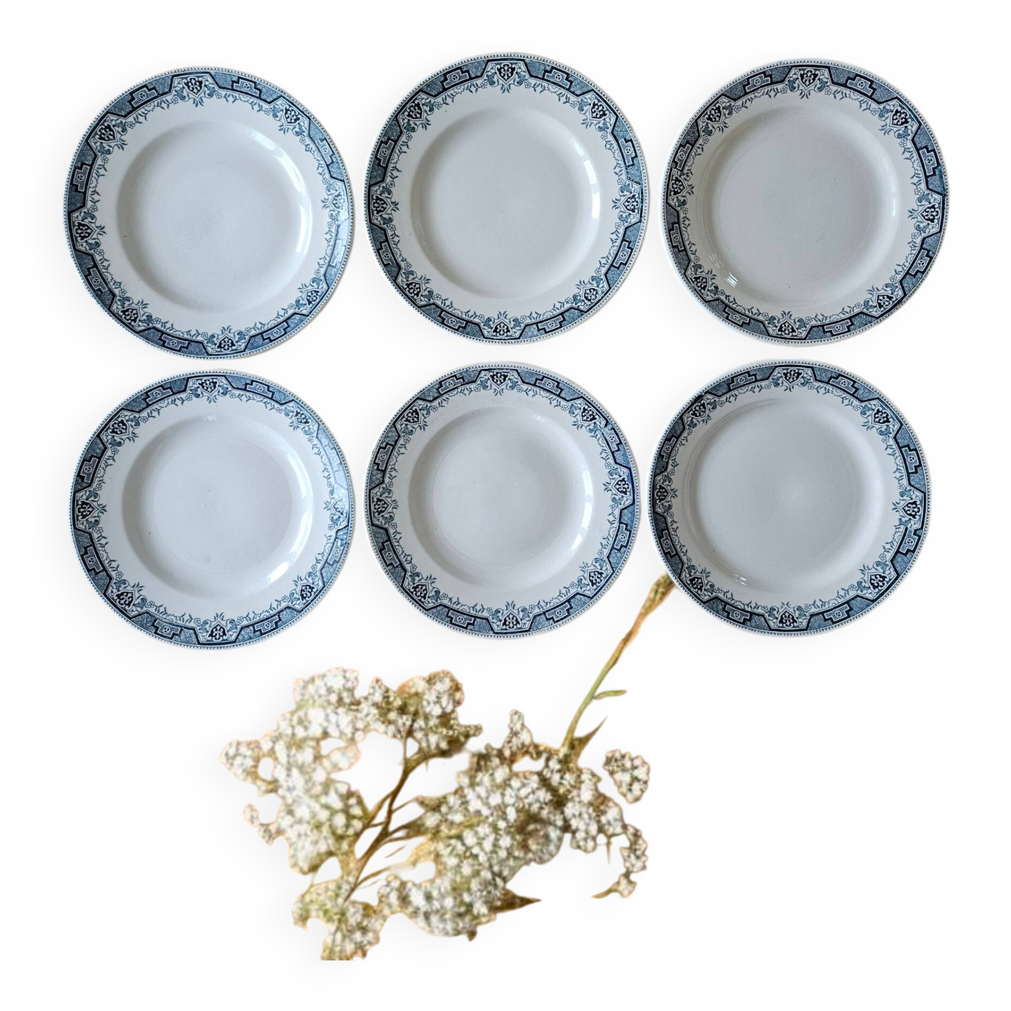 6 antique flat plates in Saint-Amand earthenware (Nord)