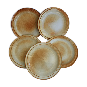5 dessert plates in flamed sandstone