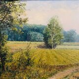 Oil on canvas country landscape