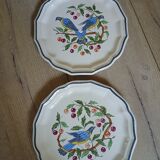 8 assiettes à dessert anciennes Salins