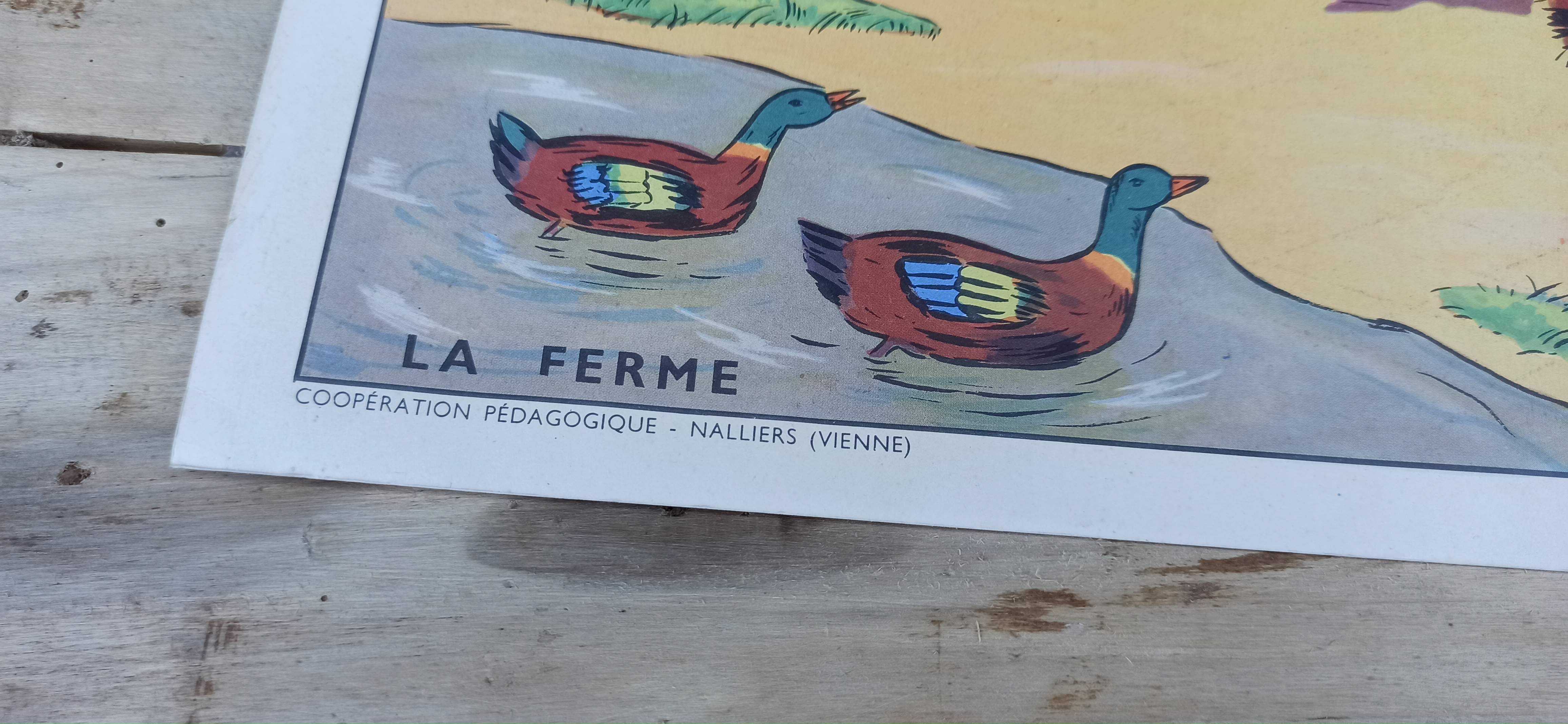 School poster two/back 76 x 56 - reading sheet the farm / construction