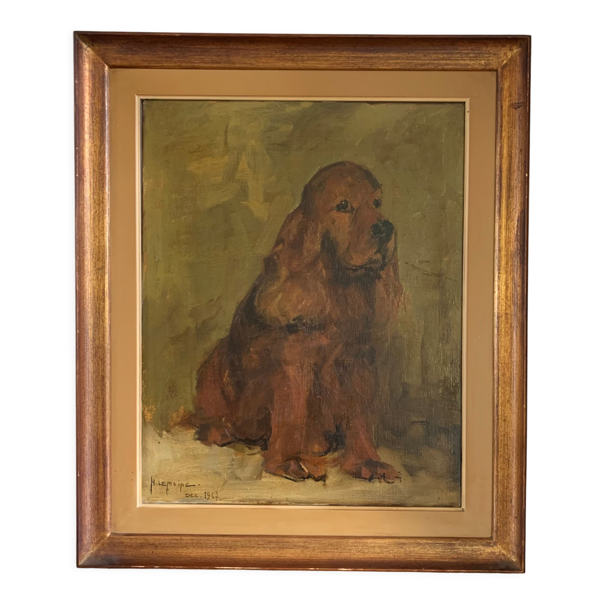 Portrait of a cocker spaniel dog