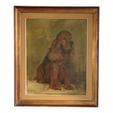 Portrait of a cocker spaniel dog