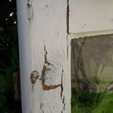 Lot of 4 oak windows H141xL112/117cm old small panes