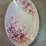 Samaritan squirrel model EC