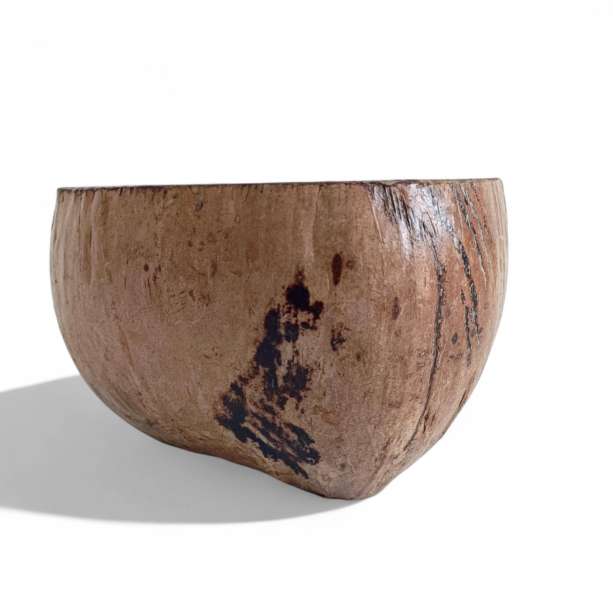 Wabi Sabi Organic Modern Coco de Mer Centerpiece, Hand-Carved, 19th C.