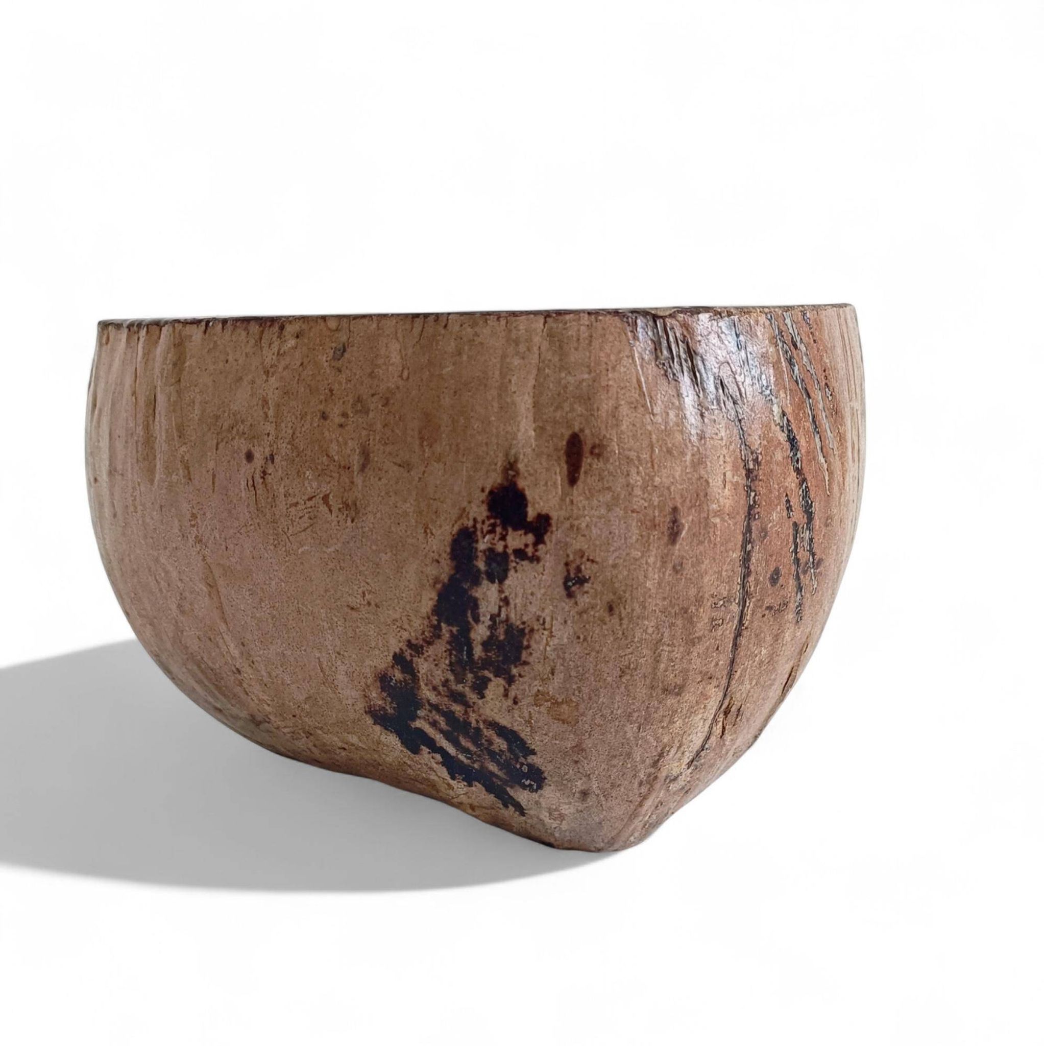 Centre de table Wabi Sabi moderne organique Coco de Mer, sculpté à la main, 19e siècle.