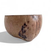 Centre de table Wabi Sabi moderne organique Coco de Mer, sculpté à la main, 19e siècle.