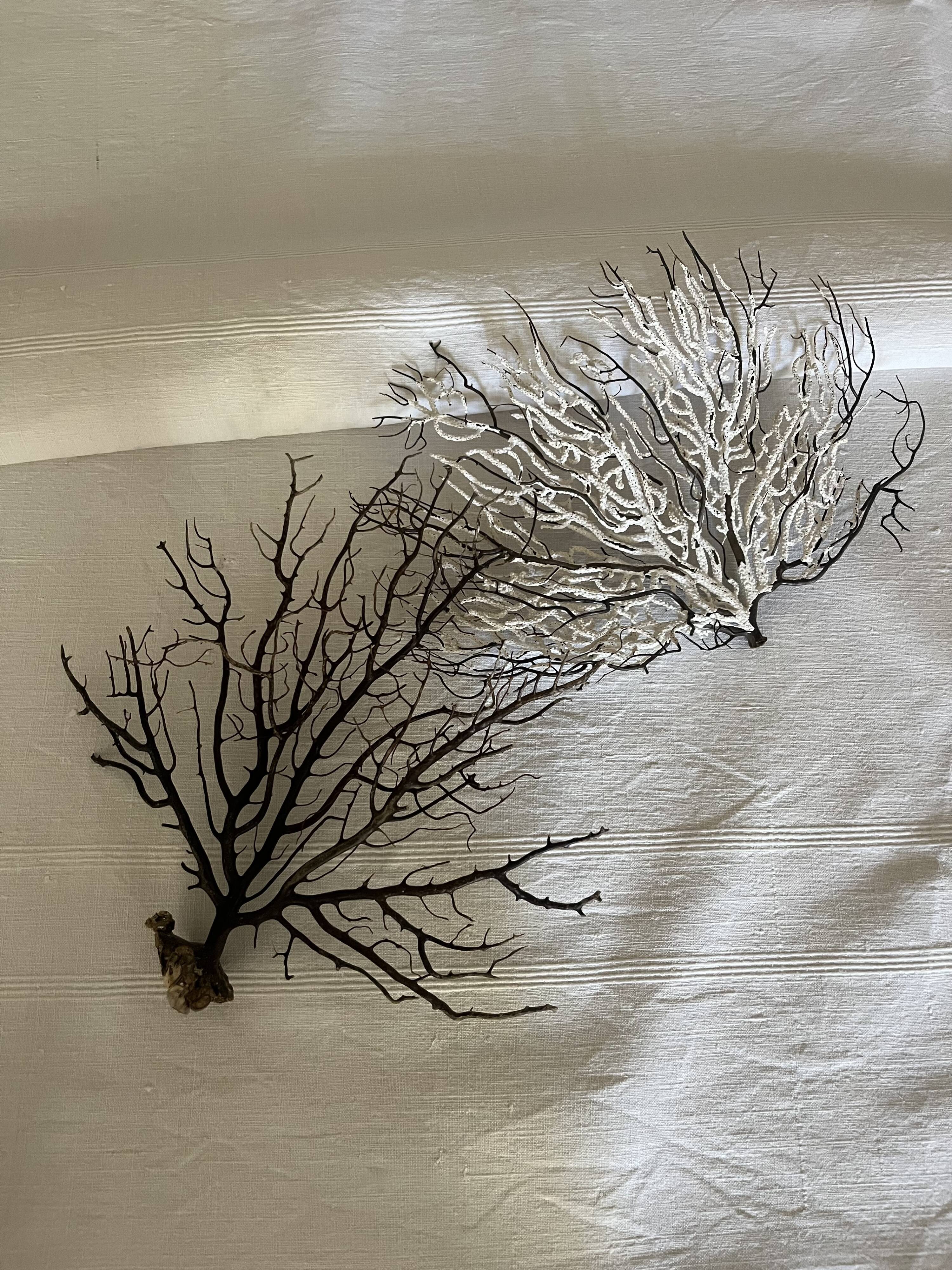 Nappe de vendange ancienne
