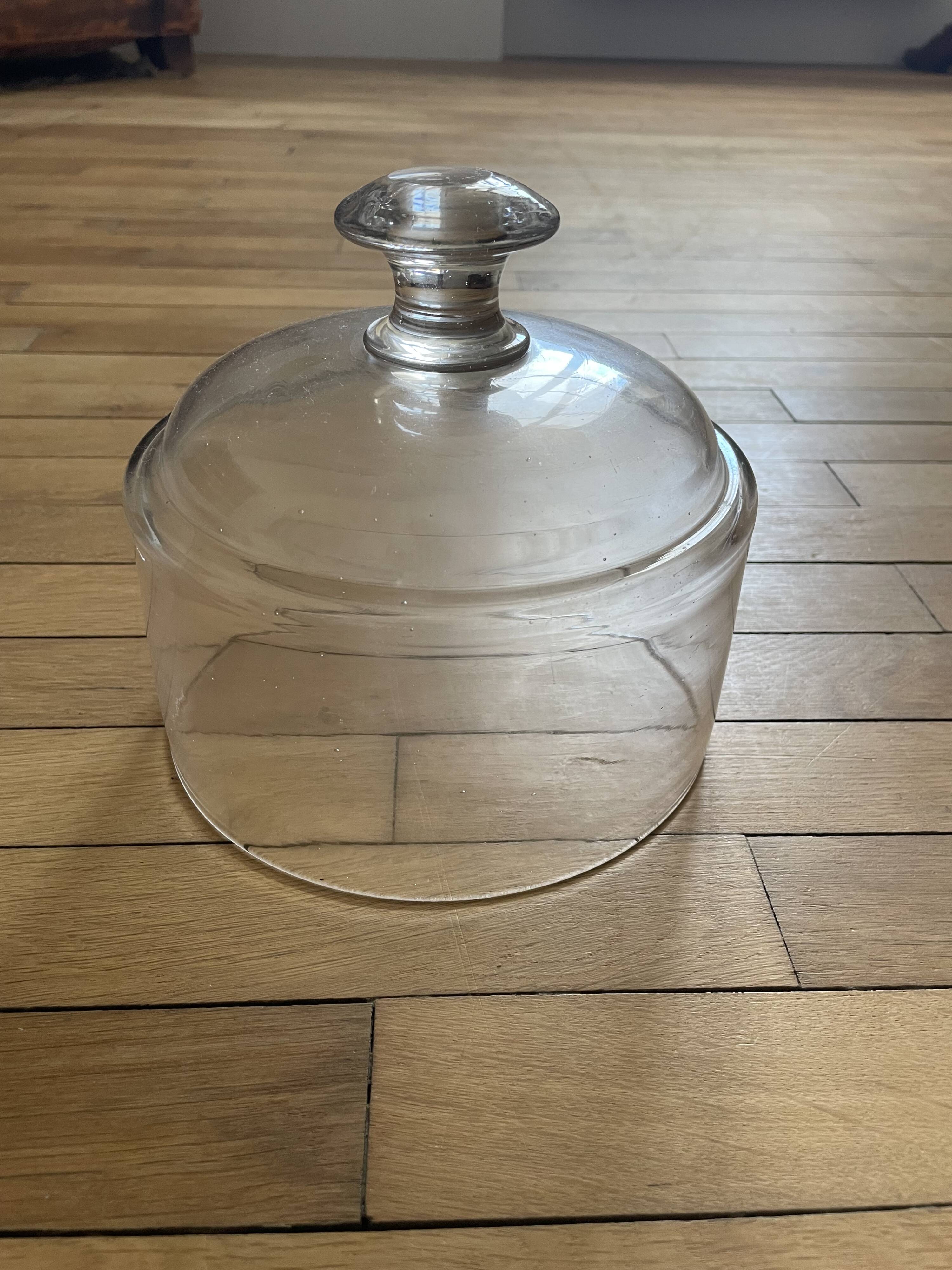 Glass cloche 251010