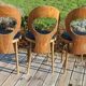 6 BAUMANN seagull chairs dark beech black skai