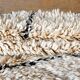 Tapis Beni Ouarain Vintage