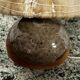 60s sandstone lamp