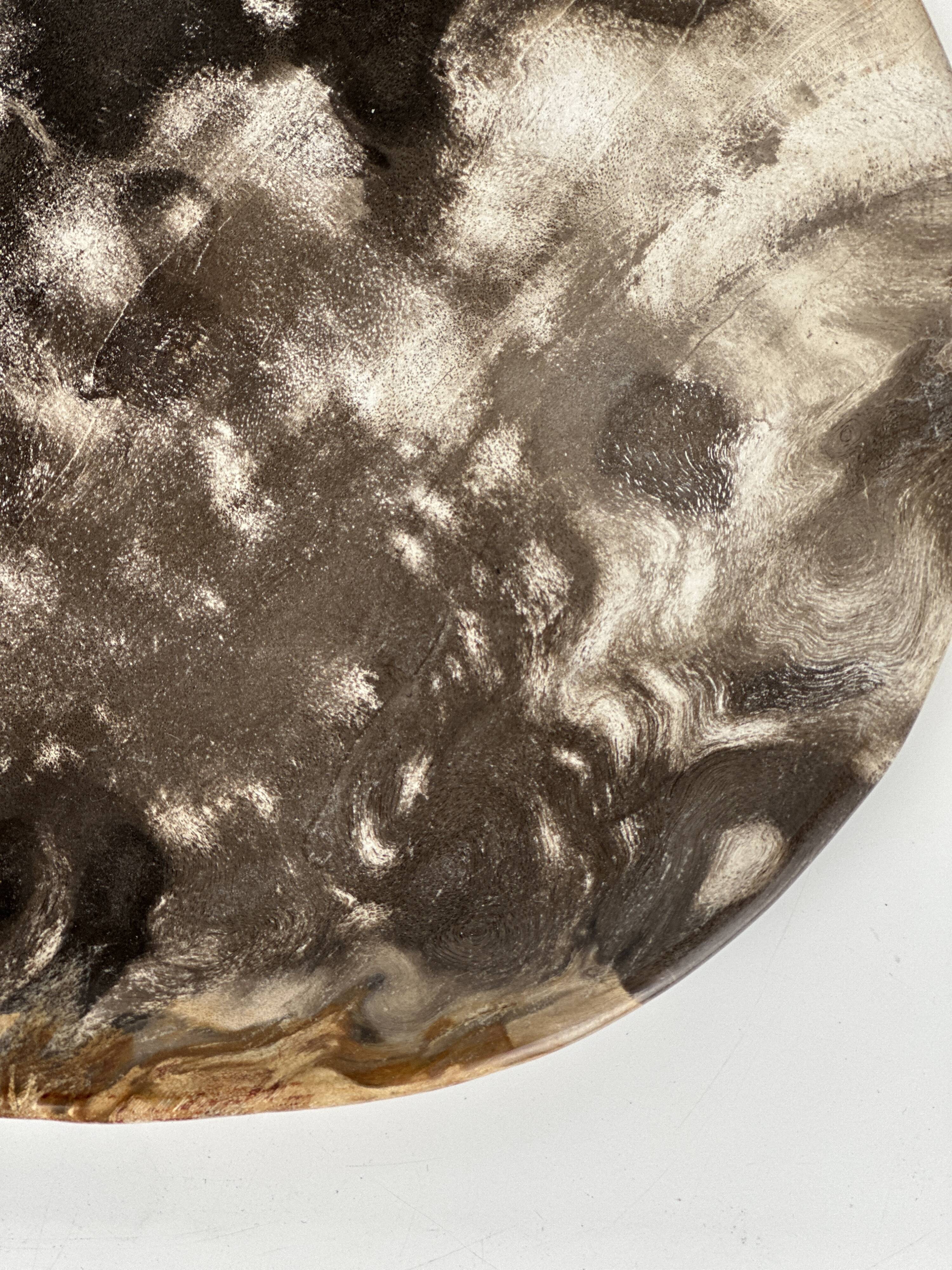 Dish in petrified wood