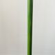 2 designer porcelain candlesticks "Tulip" - Taitu Milano - Rare vintage