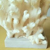 Antique white coral on marble base