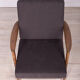 Model 300-139 Armchairs from Swarzędzka, 1960s, Set of 2