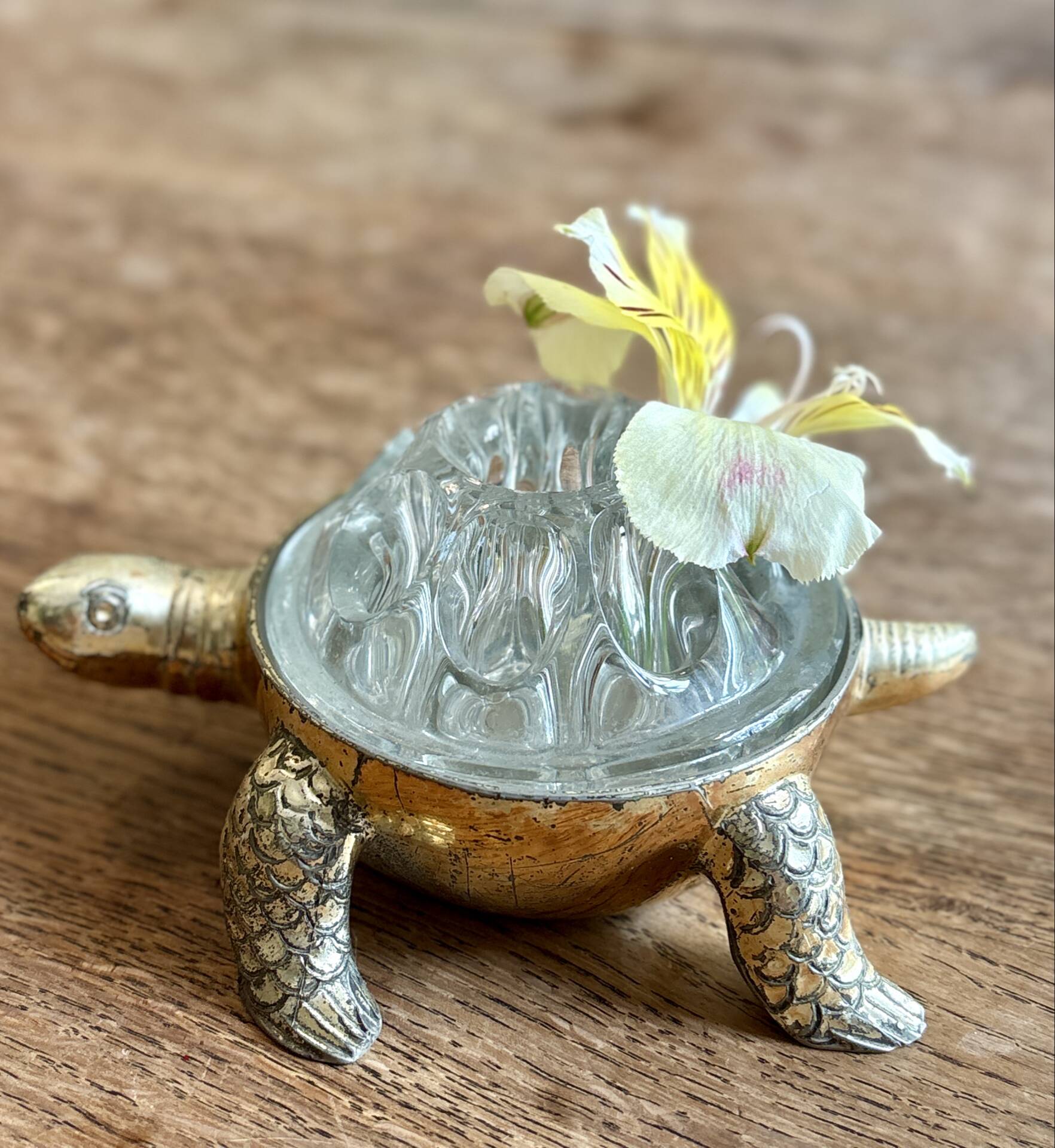 Pique fleur vintage tortue