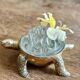 Pique fleur vintage tortue