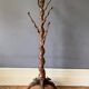 A Remarkable 19th Century Sculptured Rosewood & Buckhorn Hatstand