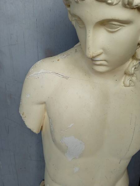 Adonis plaster bust 95cm ep 1950/60 man