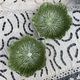 Petits saladiers en barbotine chou