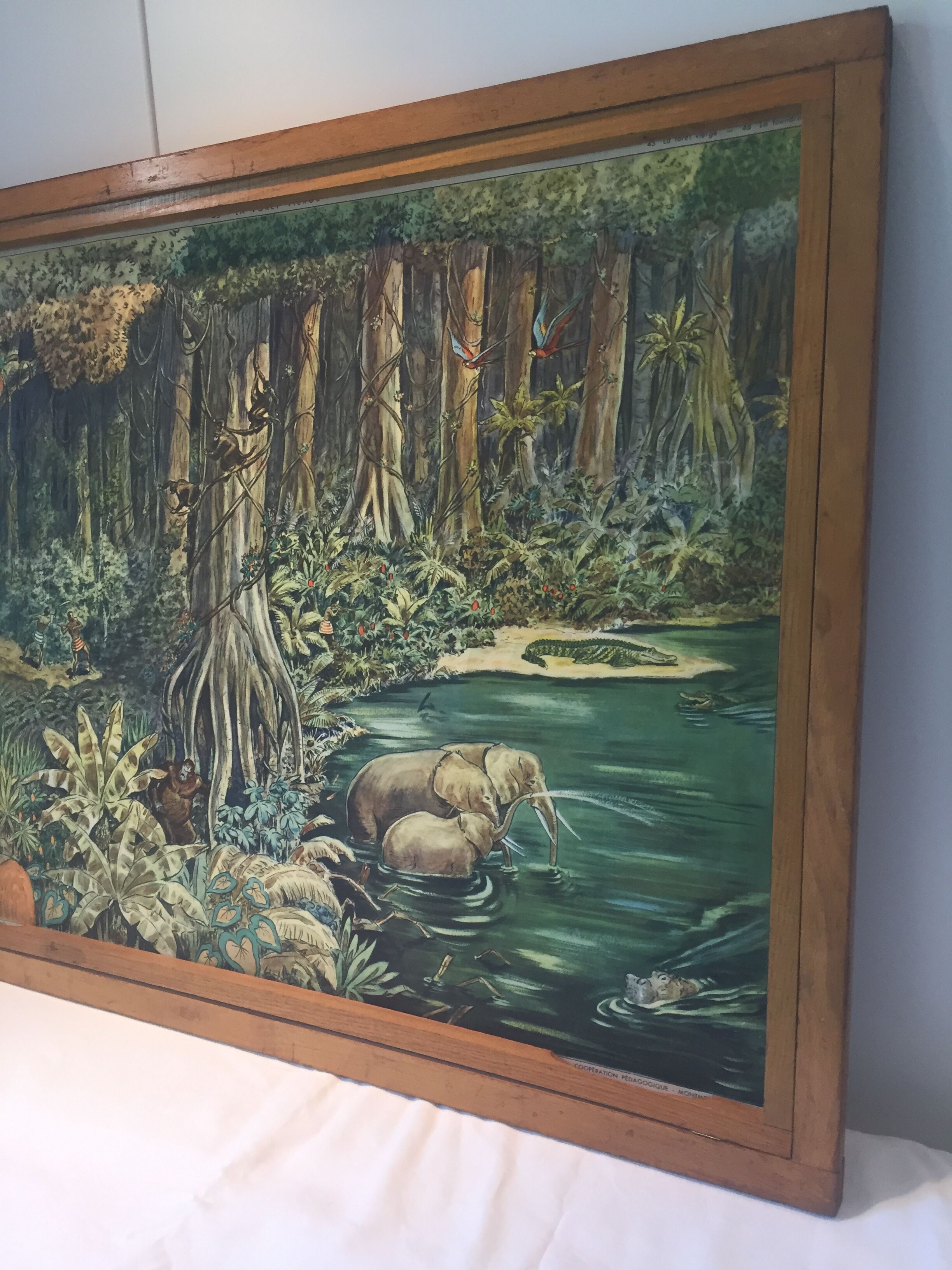 Table school nightingale year 50 with poster virgin forest / tundra