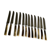 Lot of 24 horn handle knives circa 1900