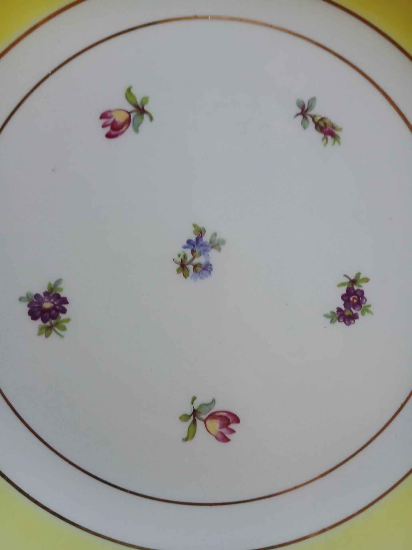 10 assiettes à dessert anciennes Gien 