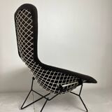 Bird Model Armchair by Harry Bertoia for Knoll, 1970s