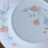 Arcopal set of 6 flat plates scented pea pattern