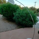 Chrome arc floor lamp