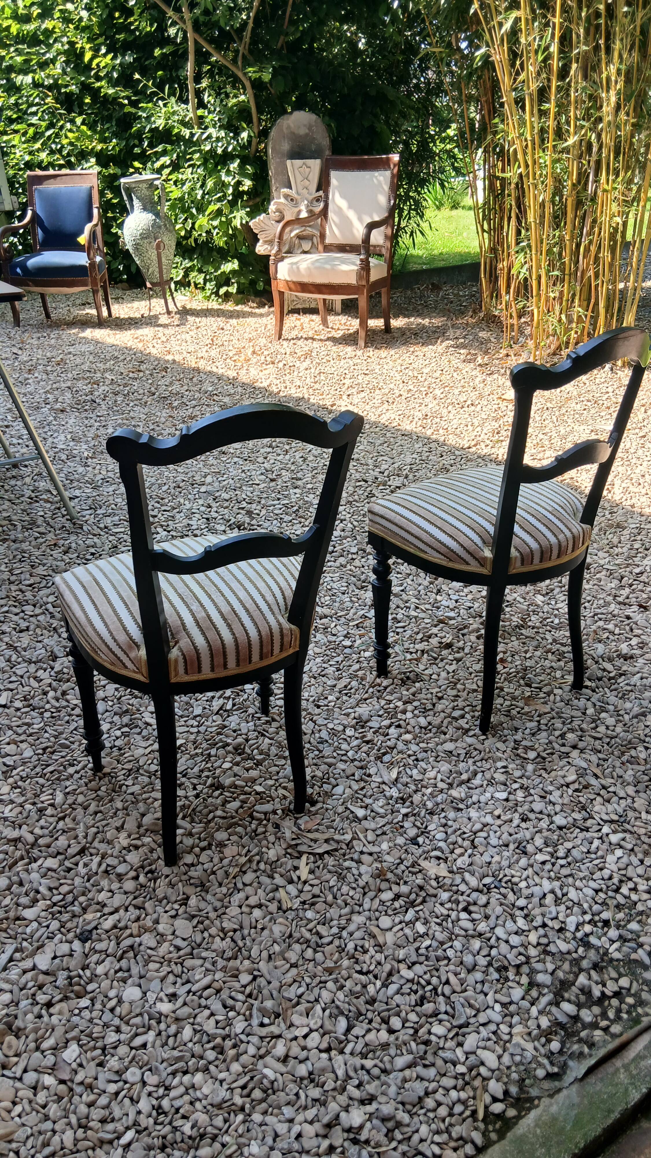 Set of 2 Napoleon III chairs