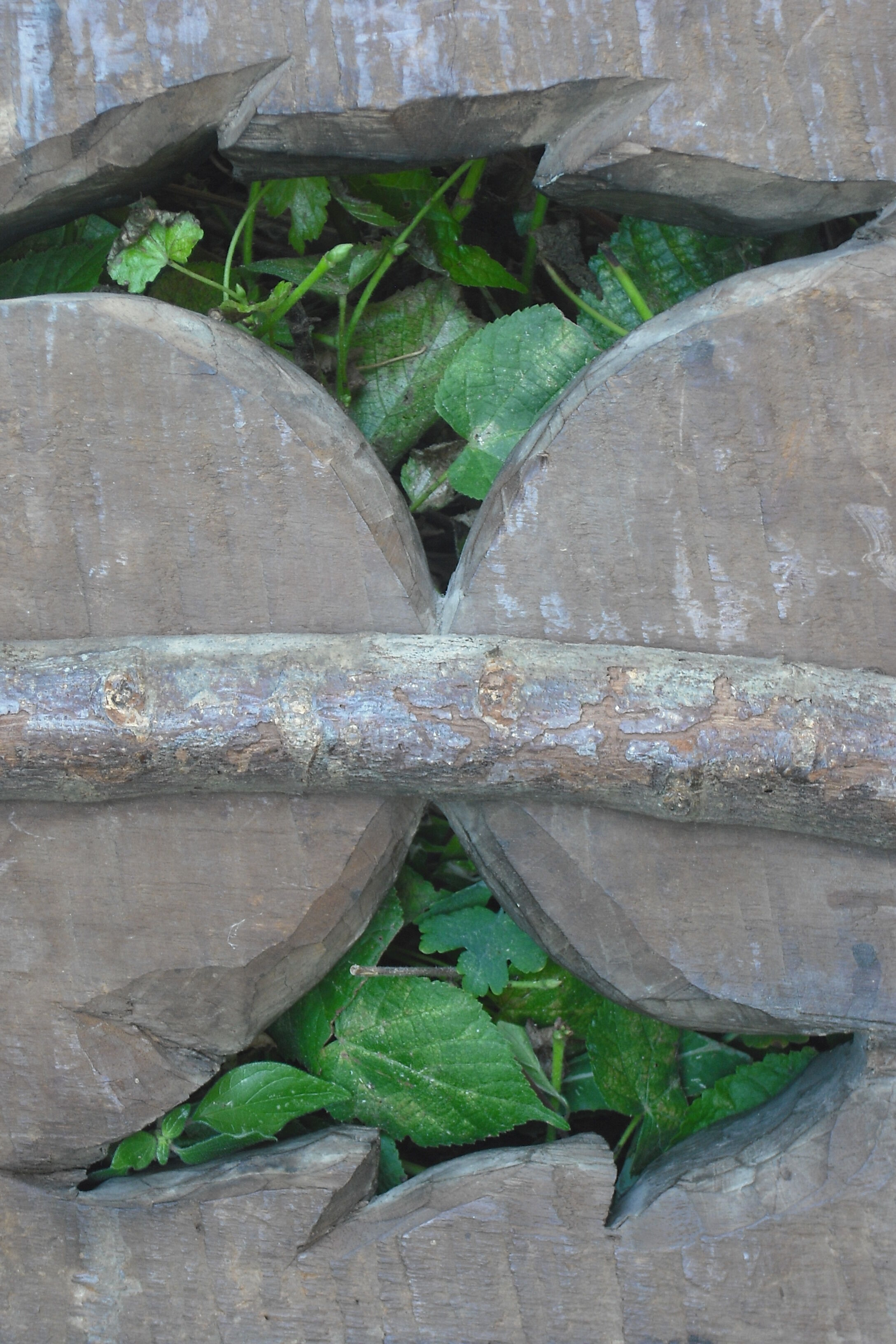 Massive carved wood 17th  oak