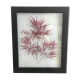 Frame dried flowers
