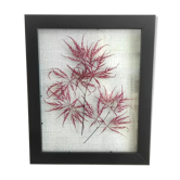 Cadre fleurs séchées