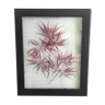 Frame dried flowers