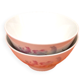 Two porcelain bowls with floral decoration on a white background