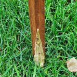 half-moon bedside pair in marquetry, bronze ornaments