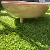 Fruit bowl