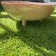 Fruit bowl