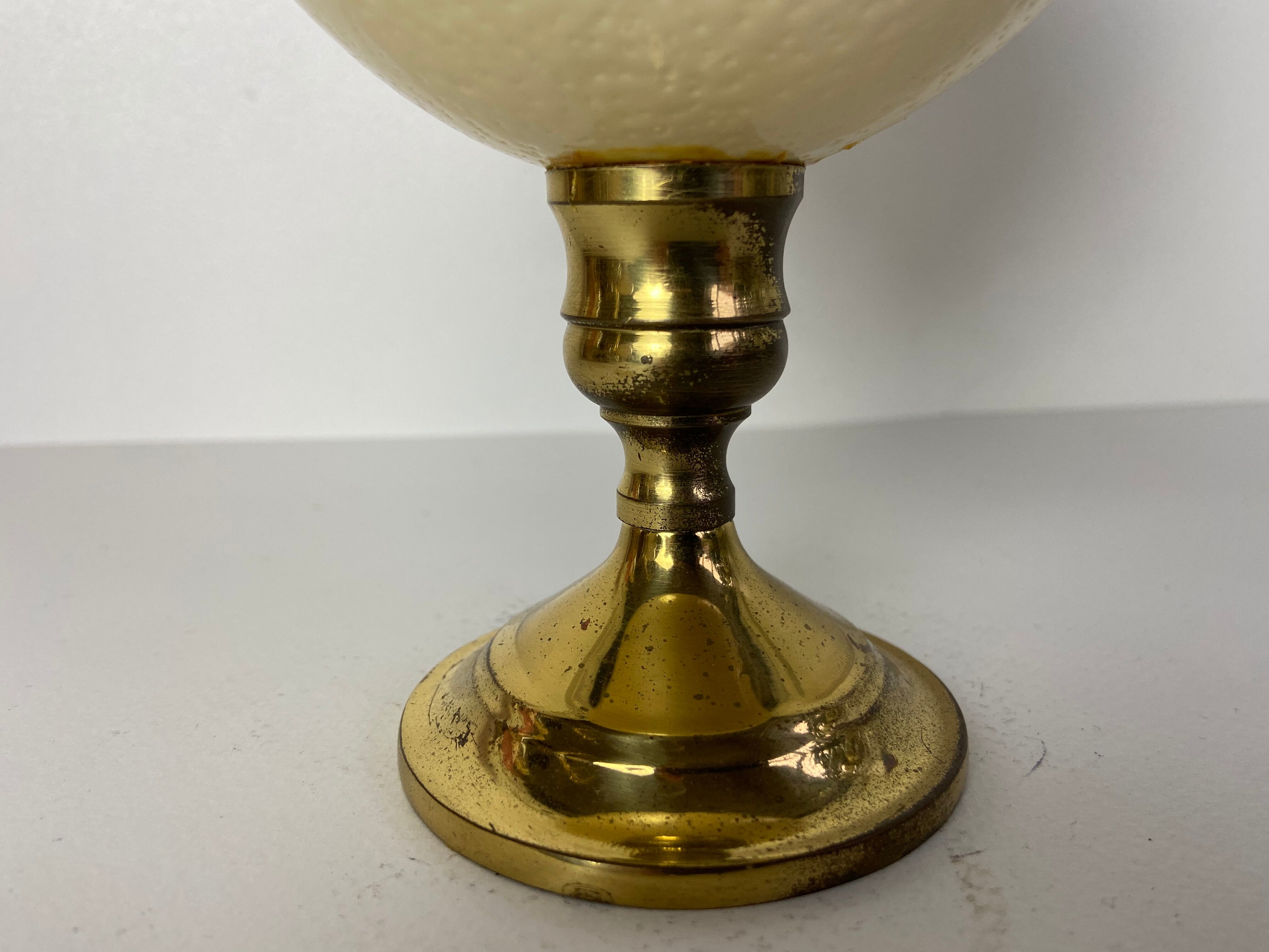 Oeuf d'autruche