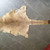 Kangaroo skin