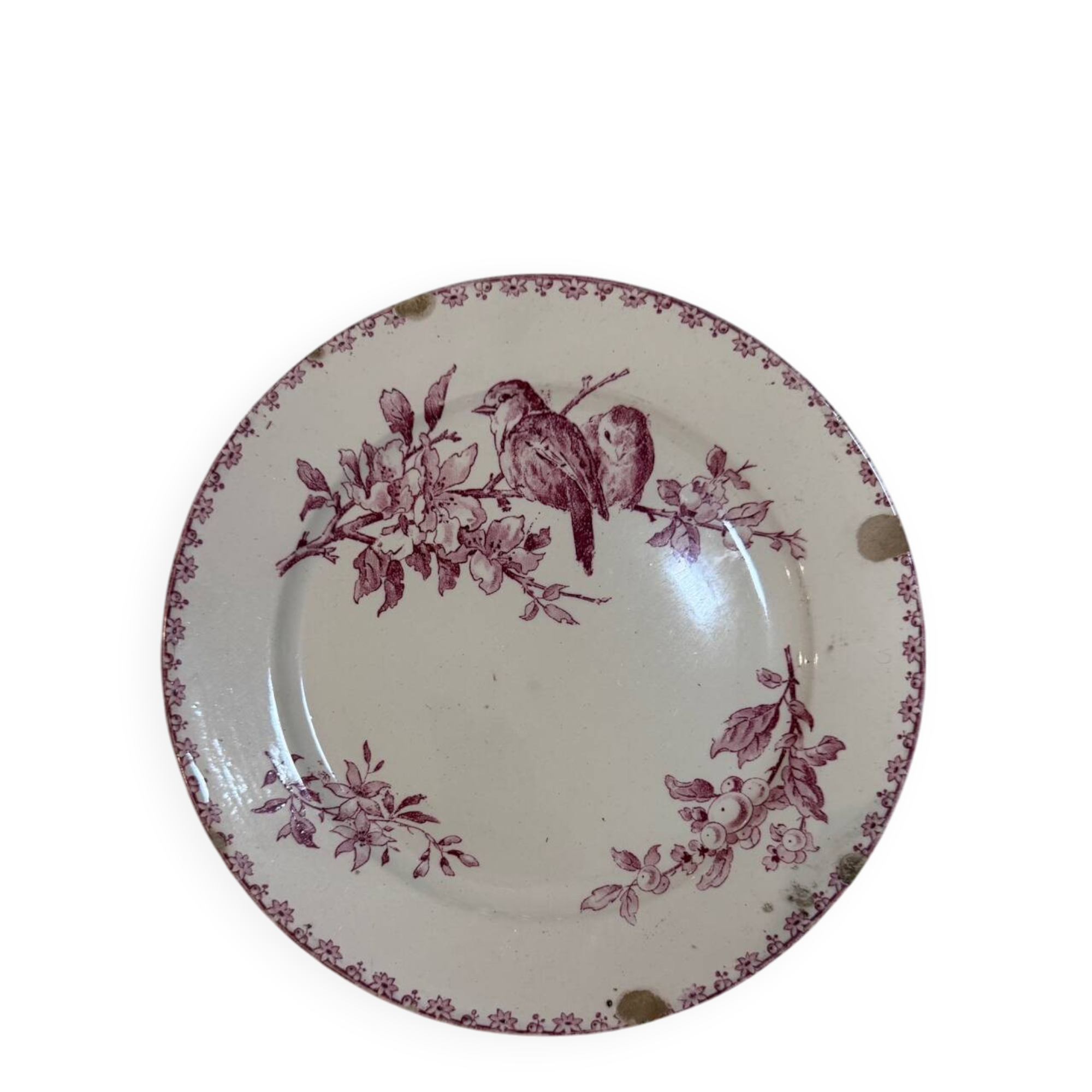 Favourite Plate Sarreguemines