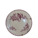 Favourite Plate Sarreguemines