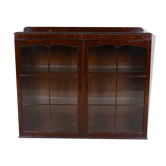 Astragalus showcase mahogany