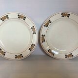 Paire d’anciennes assiettes nymphéa terre de fer